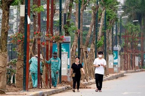 Hàng loạt cây giáng hương được trồng thay thế cây nhãn trên phố đi bộ Trịnh Công Sơn