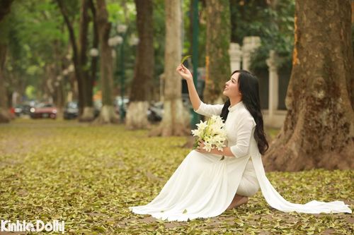 Ngắm cây thay lá vàng ươm trên 'con đường lãng mạn nhất Hà Nội'