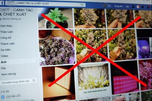 Tràn lan nội dung độc hại trên Facebook tại Việt Nam