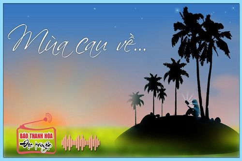 Tản văn: Mùa cau về...