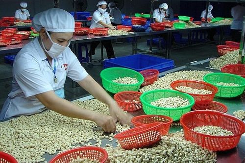 Phòng tránh rủi ro khi xuất khẩu hàng hóa sang thị trường Algeria