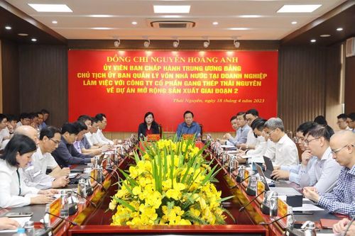 Tìm giải pháp làm 'sống lại' siêu dự án gang thép 8.100 tỷ tại Thái Nguyên