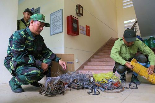 Đà Nẵng: Nạn bẫy thú hoành hành ở bán đảo Sơn Trà