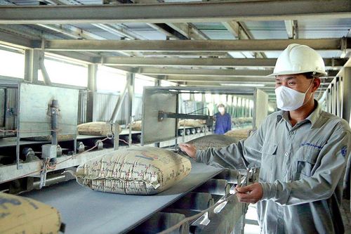 Doanh nghiệp xi măng tận dụng thời cơ