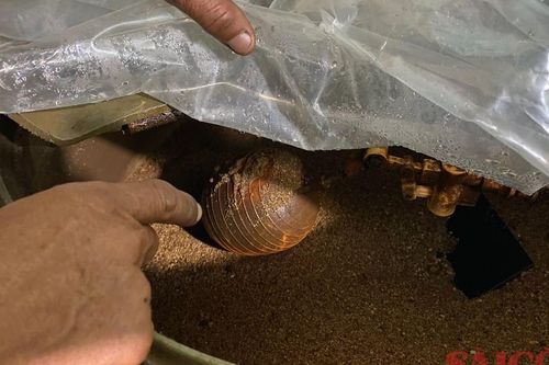 Quảng Ngãi: 'Khát' nước sạch bên cạnh hệ thống cấp nước sạch