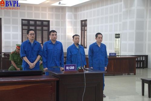 Tổ chức cho người Trung Quốc nhập cảnh trái phép, nhóm đối tượng lãnh án
