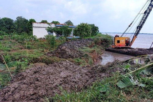 Vĩnh Long: Cồn Thanh Long bất ngờ sạt lở, ảnh hưởng tới hơn 17ha cây ăn trái