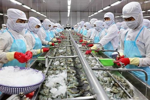 Nhu cầu tiêu thụ cải thiện, xuất khẩu tôm kỳ vọng hồi phục từ quý II