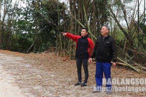 Gương sáng trong phong trào xây dựng nông thôn mới