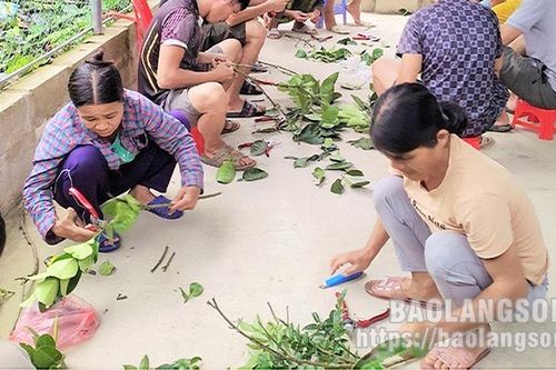 Đào tạo nghề cho lao động nông thôn: Cần giải pháp gỡ khó về cơ sở vật chất, đội ngũ giáo viên tại các trung tâm GDNN-GDTX