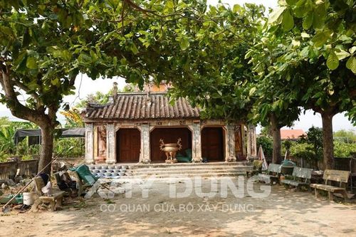 Bình Định: Khai quật khảo cổ phế tích Đại Hữu