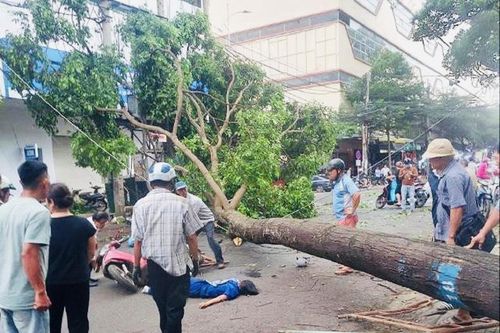 Đắk Lắk: Nỗ lực cứu chữa cho bệnh nhân bị cây xanh ngã đổ đè lên người