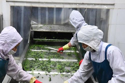 Ba điểm nghẽn của doanh nghiệp tư nhân