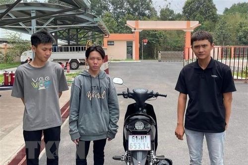 Bình Dương xử phạt thanh niên dùng chân lái xe 9 triệu đồng