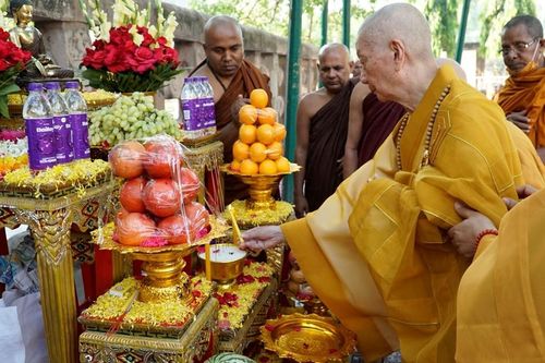 Trưởng lão Hòa thượng Thích Trí Quảng chiêm bái Bồ Đề Đạo Tràng - nơi Đức Phật thành đạo