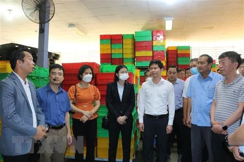 Kết nối giao thương các doanh nghiệp tỉnh Long An và Vân Nam
