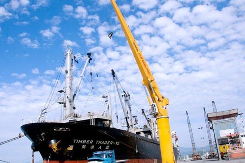 Chia thị phần với đối thủ, Cảng Cam Ranh hụt đến 43% lợi nhuận