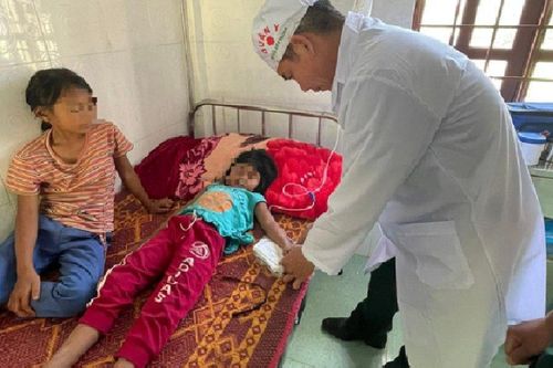 Hai chị em bị ngộ độc sau khi ăn nấm lạ