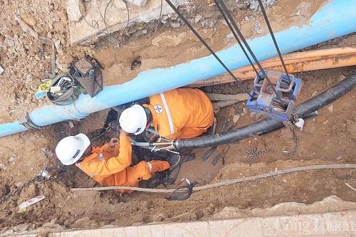 Ngành điện TP. Hồ Chí Minh: Tạm ngưng thi công các công trình đào đường trong dịp lễ