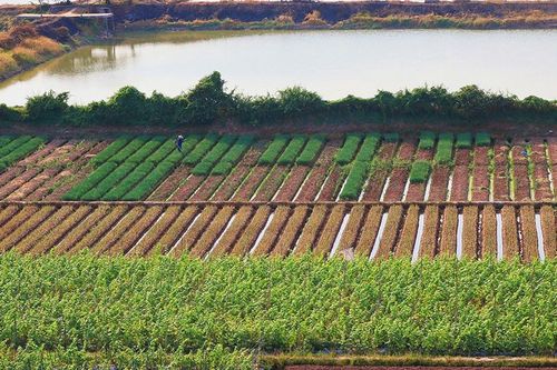 Gắn kết doanh nghiệp khai thác thế mạnh An Giang