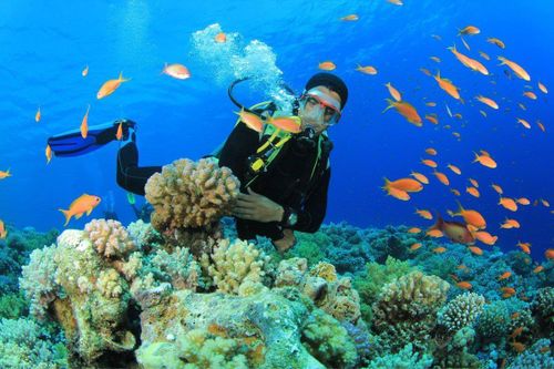 Kinh nghiệm lặn biển khi đến Nha Trang du khách cần biết