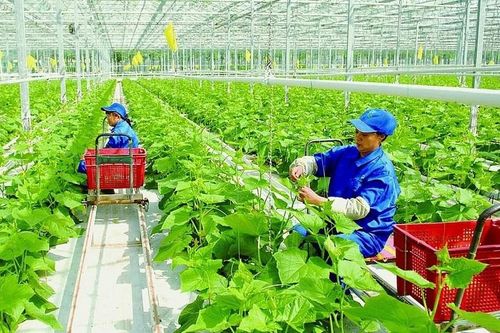 Khoa học công nghệ là cơ sở để phát triển nông nghiệp sinh thái, nông thôn hiện đại