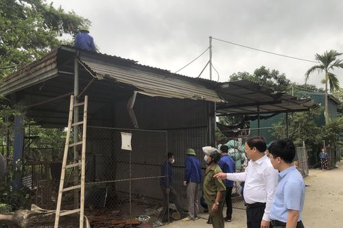 Vĩnh Phúc: Yên Lạc xử lí gần 100 trường hợp vi phạm pháp luật về đất đai