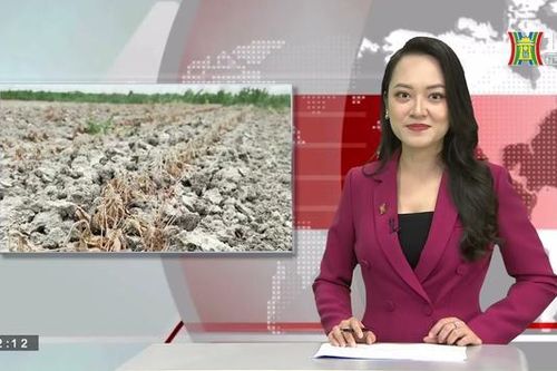 Nhiệt độ toàn cầu có thể phá kỷ lục vào năm 2023 (Nhìn ra thế giới ngày 25/04/2023)