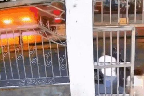 Nhìn cảnh bé 3 tuổi phi thẳng ra đường, ai nấy đều dựng tóc gáy cầu mong phép màu