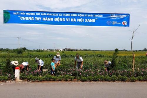 Hiệu quả từ phong trào phân loại, xử lý rác tại nhà ở Phú Xuyên