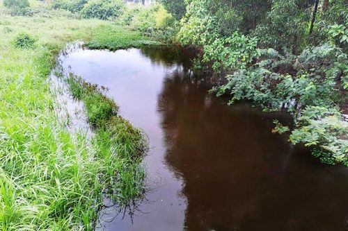 Có vốn, vì sao TP Quảng Ngãi vẫn không làm hệ thống xử lý nước thải?