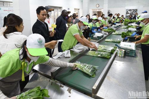 Việt Nam nỗ lực trong chuyển đổi hệ thống lương thực, thực phẩm