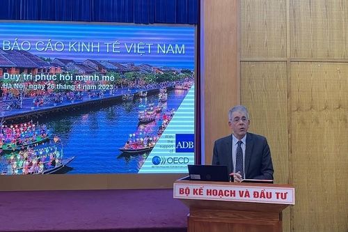 OECD: Kinh tế Việt Nam tăng trưởng vững chắc, GDP năm 2023 ở mức 6,5%