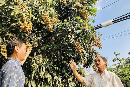 Xuất khẩu tiểu ngạch sang Trung Quốc: Bài 3 - Để thương mại biên giới được trả về đúng bản chất