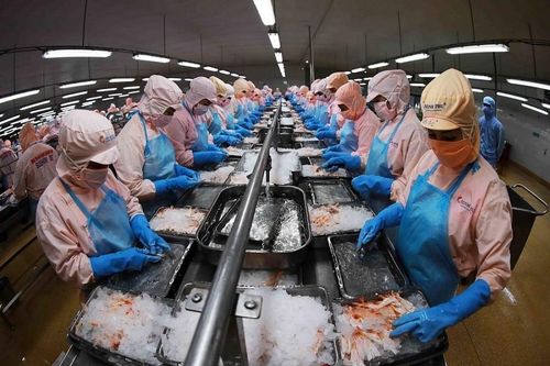 Thúc đẩy chuyển đổi số để giảm 'nhũng nhiễu' cho doanh nghiệp