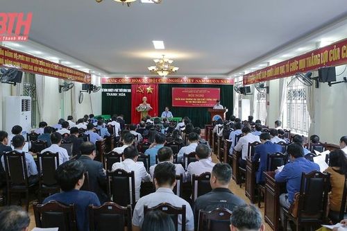 Toàn tỉnh phấn đấu gieo trồng 153.000 ha vụ thu mùa 2023