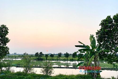 Chuyện về 'Nó'