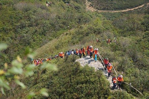 Gần 600 người chinh phục đỉnh Fansipan để làm một việc ít người nghĩ tới khi leo núi