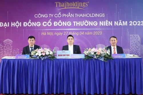 ĐHĐCĐ Thaiholdings thông qua phương án trả cổ tức bằng cổ phiếu theo tỷ lệ 10%