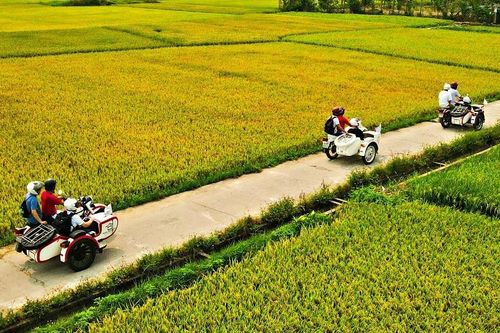 Đi Hội An chơi lễ 30/4, thử loạt trải nghiệm độc lạ, mới mẻ 'ai cũng mê'