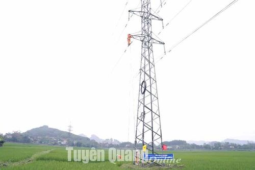 Công ty Điện lực Tuyên Quang diễn tập sự cố, phòng chống thiên tai và tìm kiếm cứu nạn