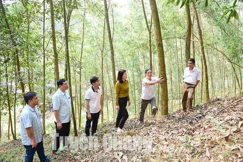 Những quyết sách vì dân