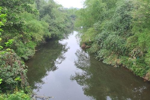 Những dòng sông, suối 'kêu cứu' ở Thái Nguyên: Dòng Đu đang 'chết' dần vì ô nhiễm (Bài 2)