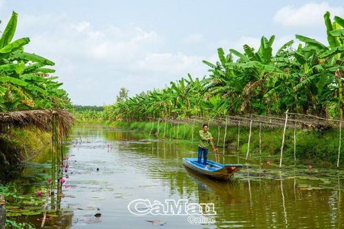 Sinh kế mới cho cư dân rừng tràm