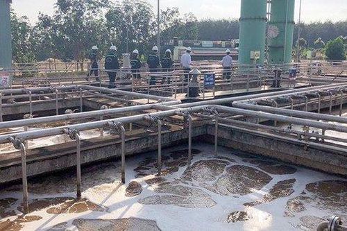 Nghiên cứu, đề xuất xử lý phản ánh của doanh nghiệp về khó khăn trong cấp giấy phép môi trường