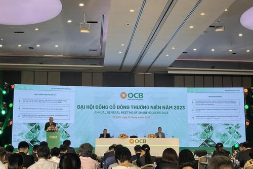 ĐHĐCĐ OCB: Các khoản vay rủi ro lớn của FLC, Đại Nam đã thu hồi xong, gộp cổ tức 2022 và 2023