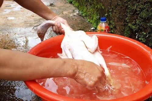 Mổ vịt bất ngờ phát hiện viên đá lạ, tưởng đồ bỏ đi hóa ra giá hơn 300 tỷ