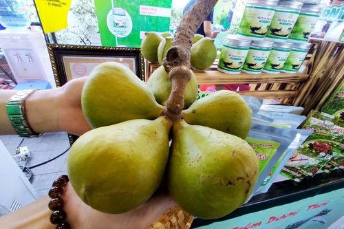 Hơn 1.000 loại nông đặc sản nhiều vùng miền quy tụ tại TP.HCM