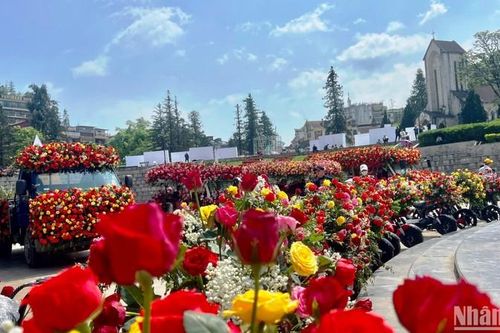 Sa Pa khai hội hoa hồng lớn nhất vùng Tây Bắc