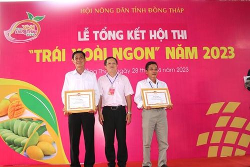 Xoài Đồng Tháp – Nâng tầm vị thế